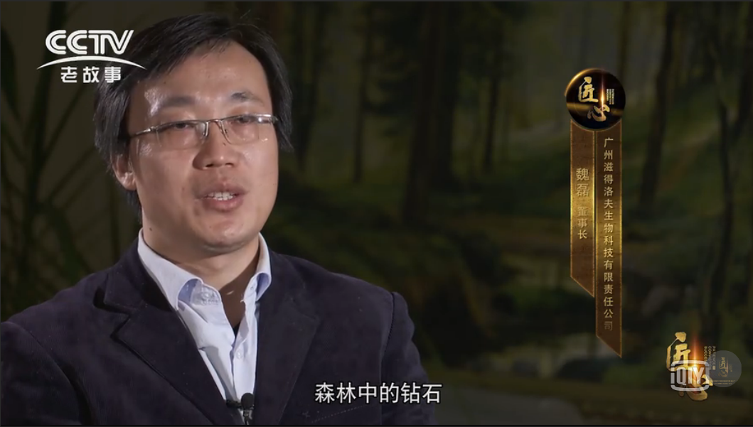 傳統藥材與現代科技的完美結合: 白樺茸特殊膳食食品開啟健康新篇章! 傳統藥材與現代科技的完美結合: 白樺茸特殊膳食食品開啟健康新篇章!