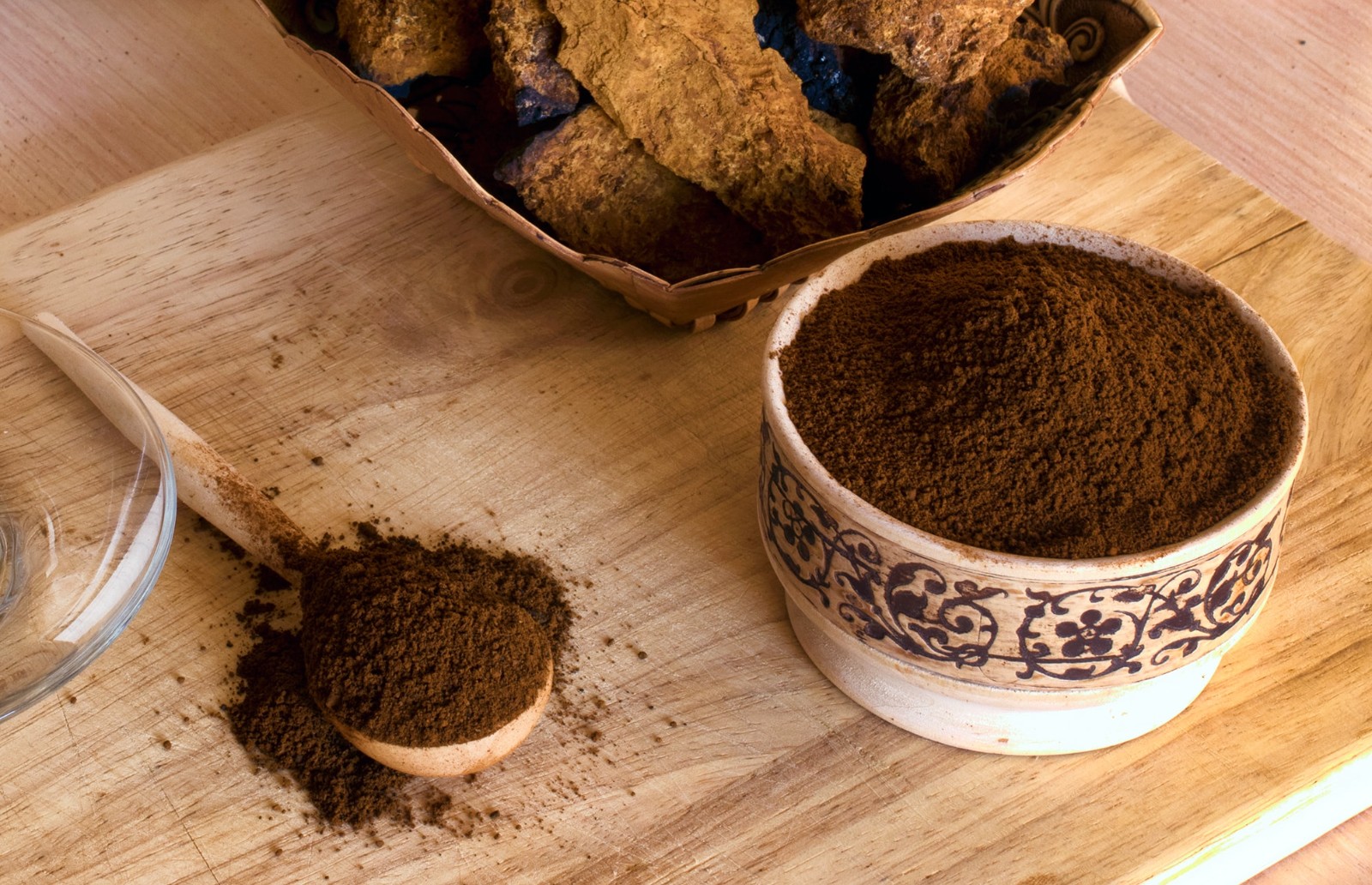 樺褐孔菌 樺褐孔菌