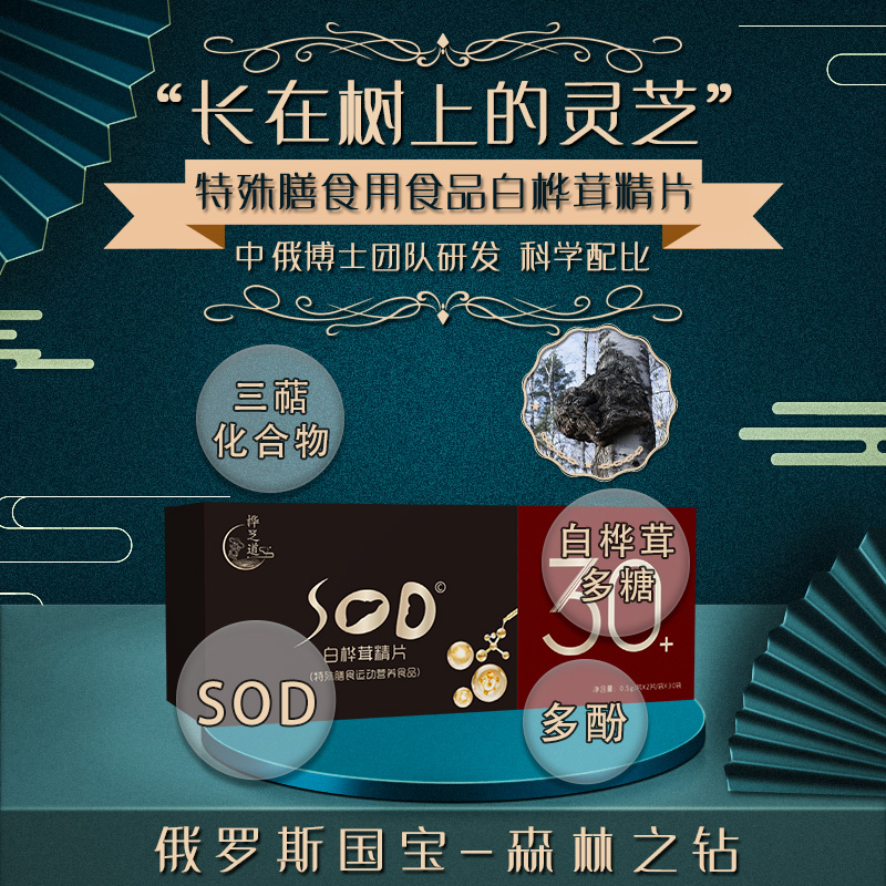 白樺茸精片 禮品裝