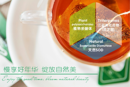 白樺茸：黑色森林鉆石，金色健康品質！