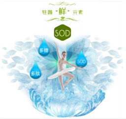 [樺樹茸精粉]白樺茸：自然界的抗氧化明星