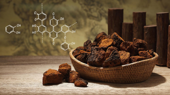 食用菌引領(lǐng)健康新時代:保健品的四代革新之路 食用菌引領(lǐng)健康新時代:保健品的四代革新之路