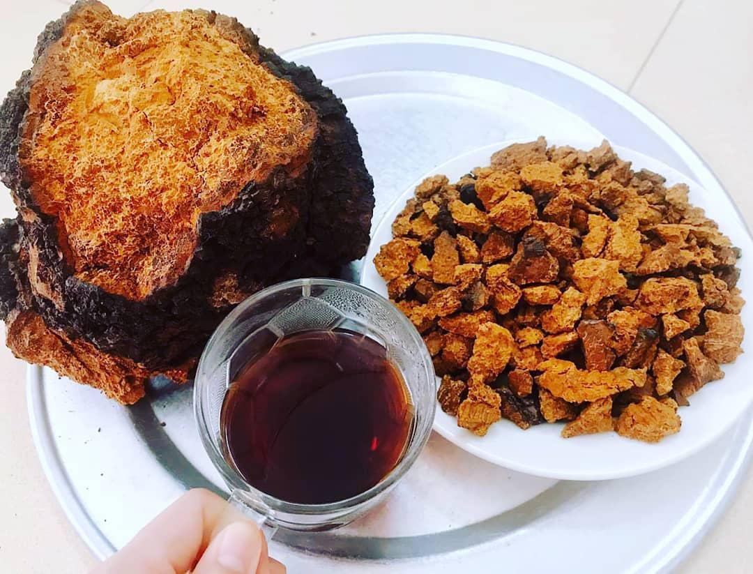 樺樹茸價格揭秘:一斤樺樹茸究竟值多少錢? 樺樹茸價格揭秘:一斤樺樹茸究竟值多少錢?