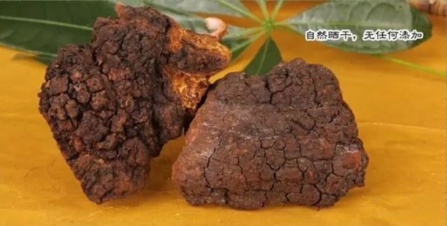 樺樹茸的價格與質量:是否存在直接關系?一斤多少錢合理? 樺樹茸的價格與質量:是否存在直接關系?一斤多少錢合理?