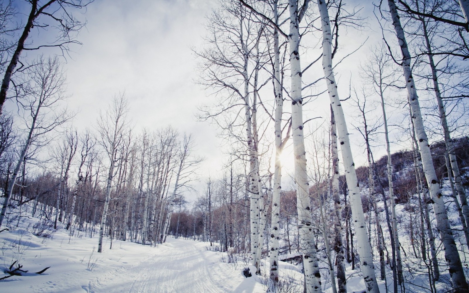 1751011001442926.jpg 1751011001442926.jpg