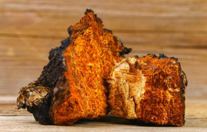 真假辨別方式,滋得洛夫教您識別優質白樺茸 真假辨別方式,滋得洛夫教您識別優質白樺茸