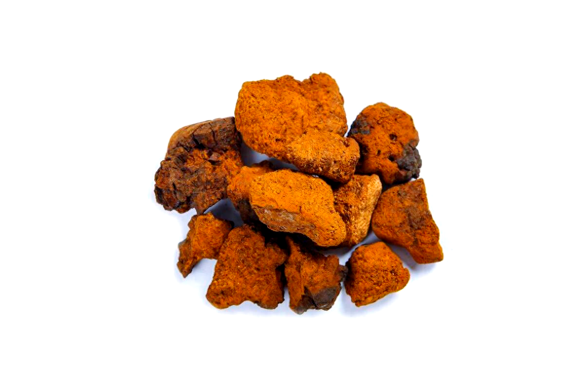 白樺茸的搭配智慧：與其他食材的巧妙結(jié)合